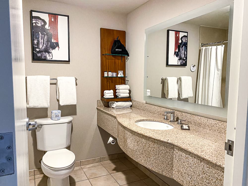 Delta Hotels by Marriott Burlington