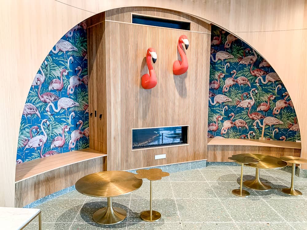 Flamands roses bar Honeyrose Montreal, Tribute Portfolio