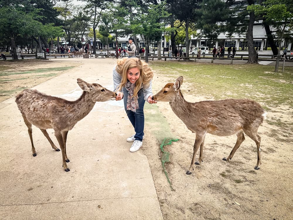 Nara - Japon