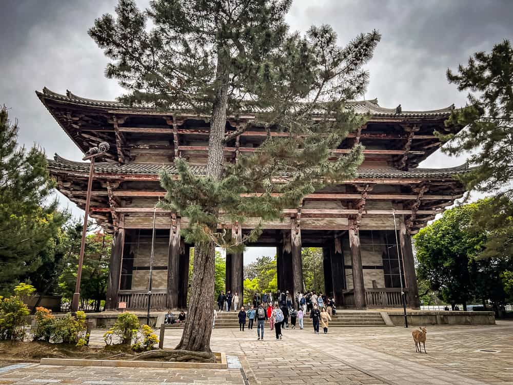 Nara, Japon-04