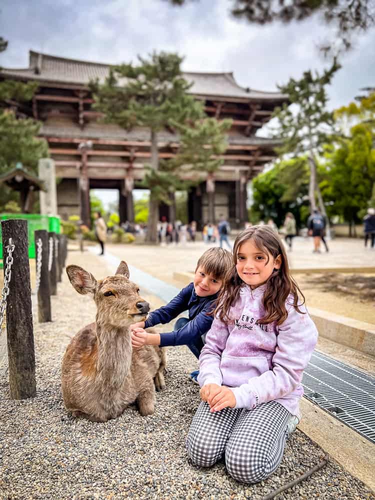Nara - Japon