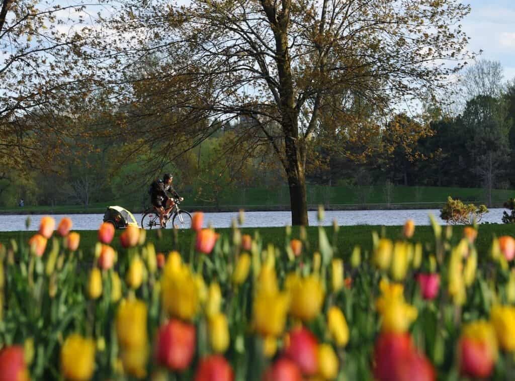 velo canal rideau