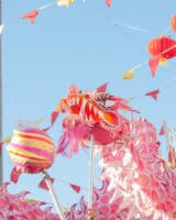 273013818 4847295695367422 1679941308295667320 n