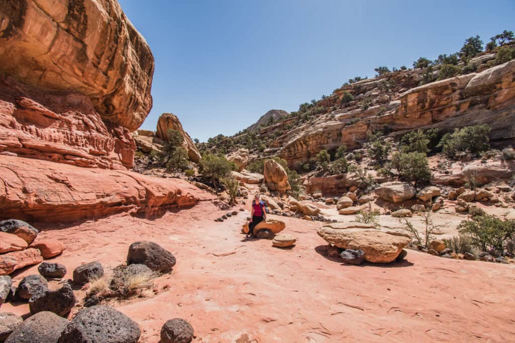 Arizona – Crédit Annie T.2
