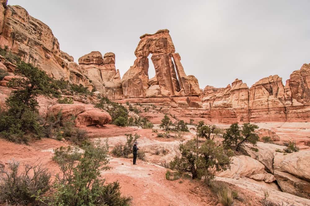 Ouest Américain – Annie 37