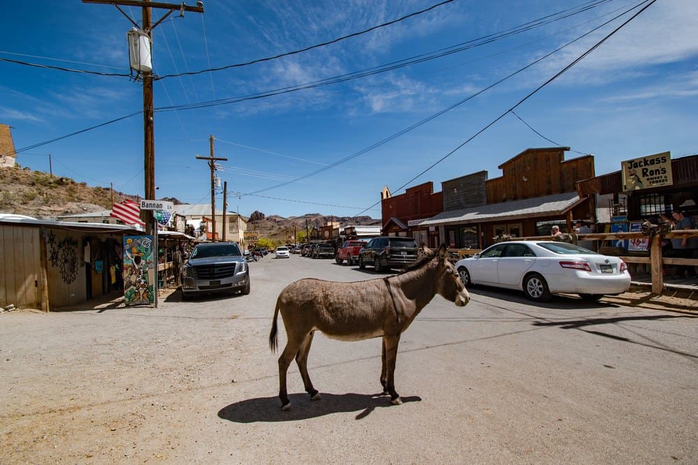 Ouest Américain – Annie 4