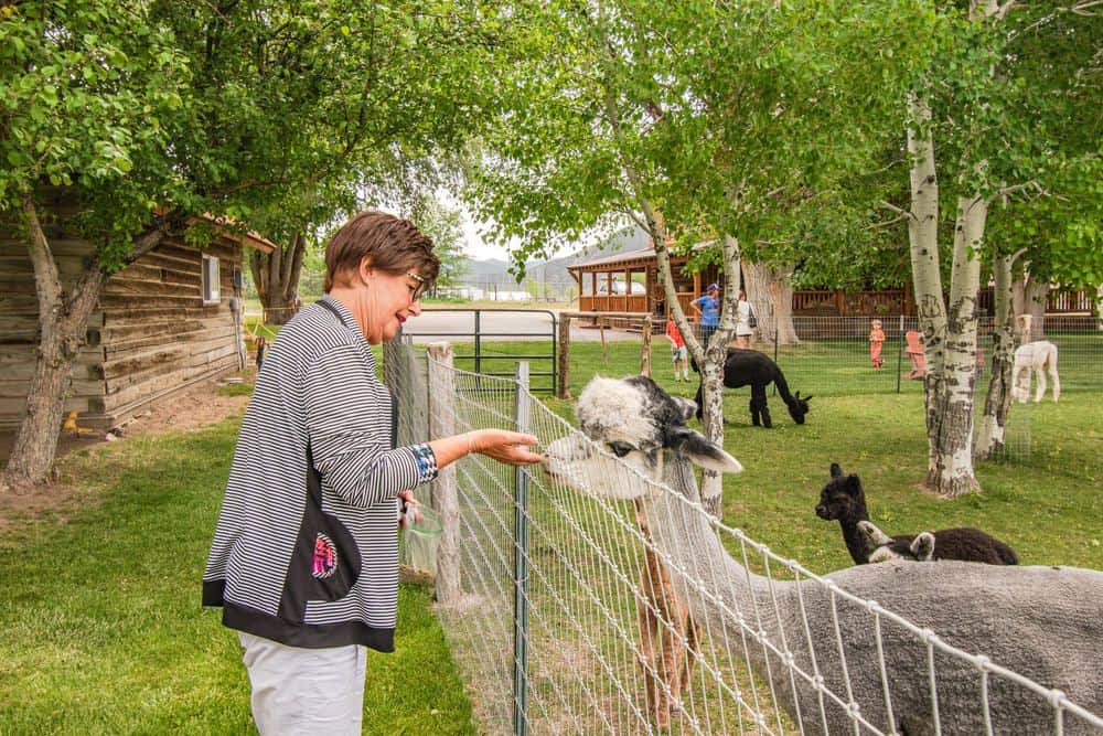 Ouest Américain – Annie 47