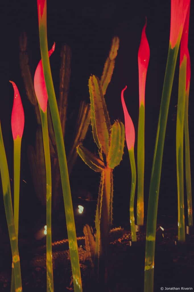 Phoenix 4 Crédit Jonathan R