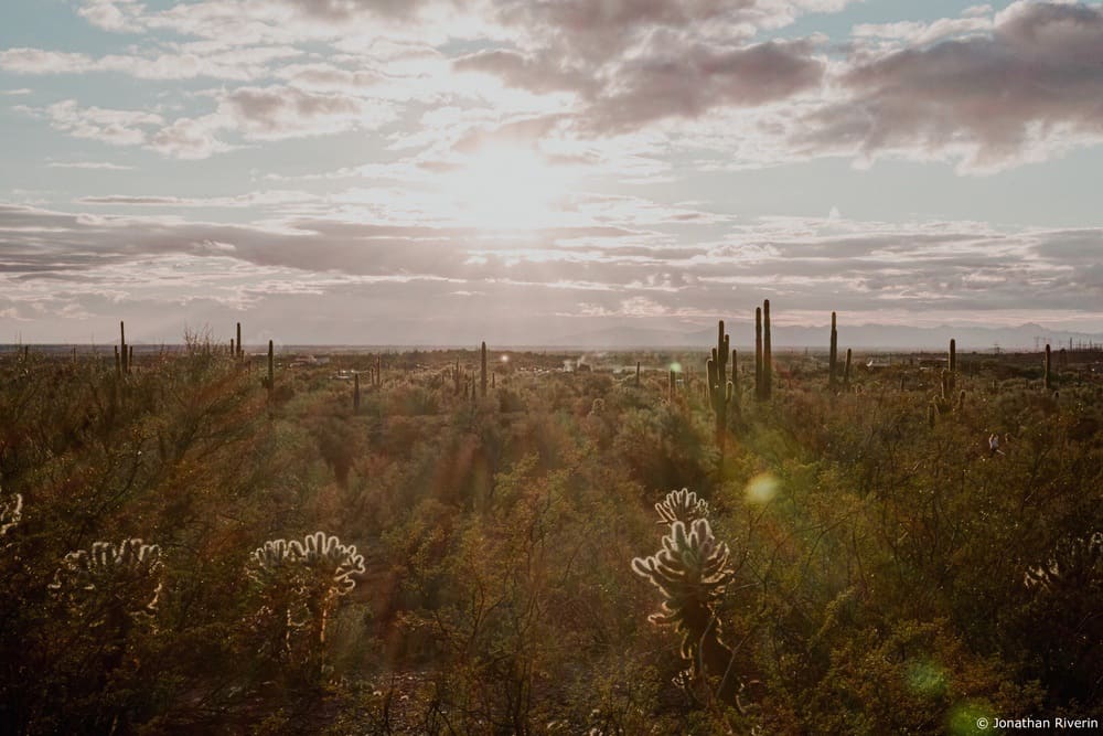 Phoenix 5 Crédit Jonathan R