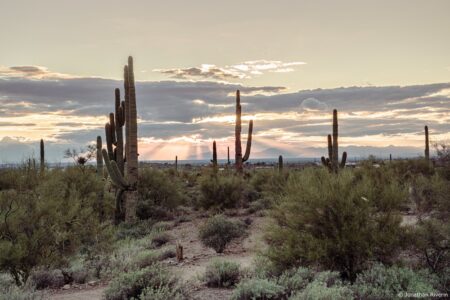 Phoenix 6 Crédit Jonathan R