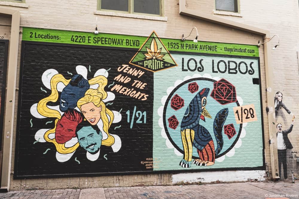 Tucson et Saguaros 11 Crédit Jonathan R