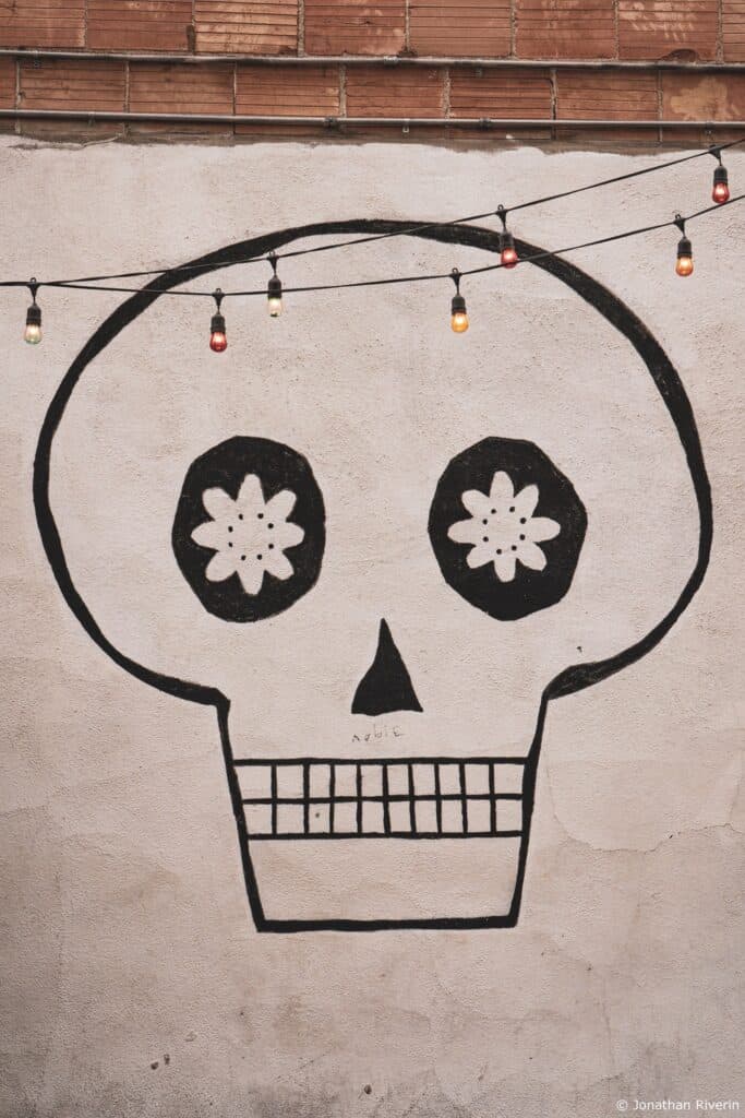 Tucson et Saguaros 12 Crédit Jonathan R