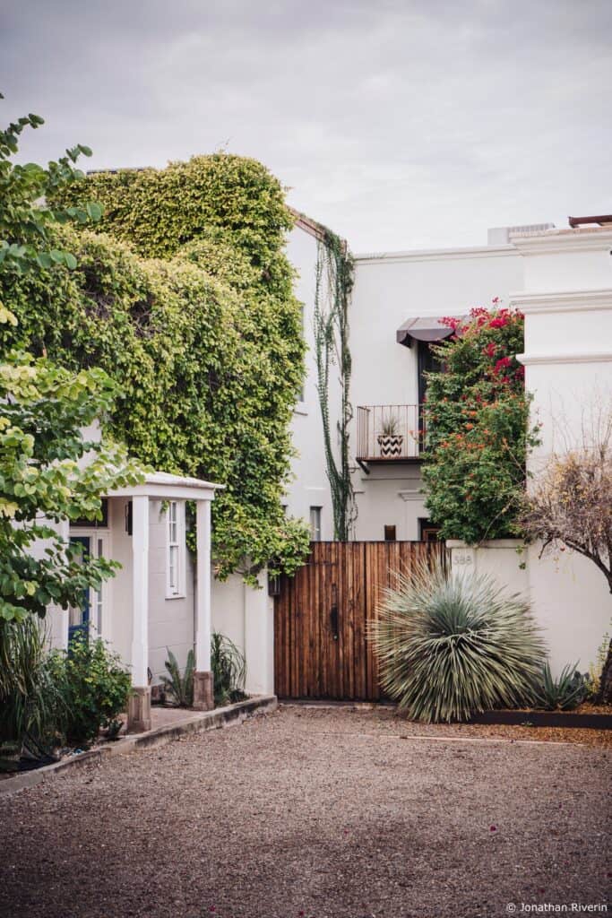 Tucson et Saguaros 16 Crédit Jonathan R