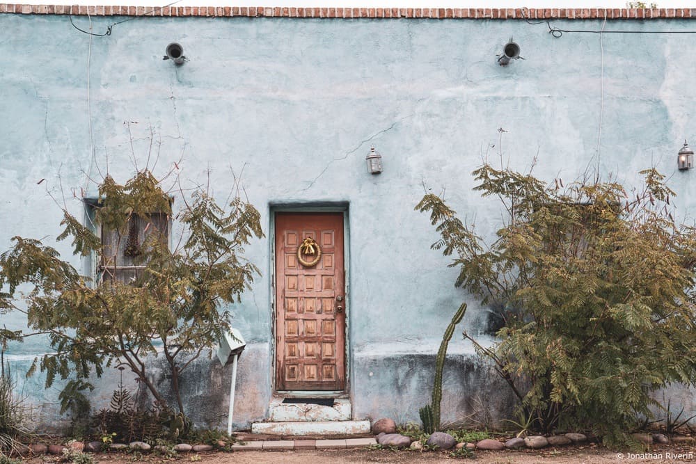 Tucson et Saguaros 18 Crédit Jonathan R