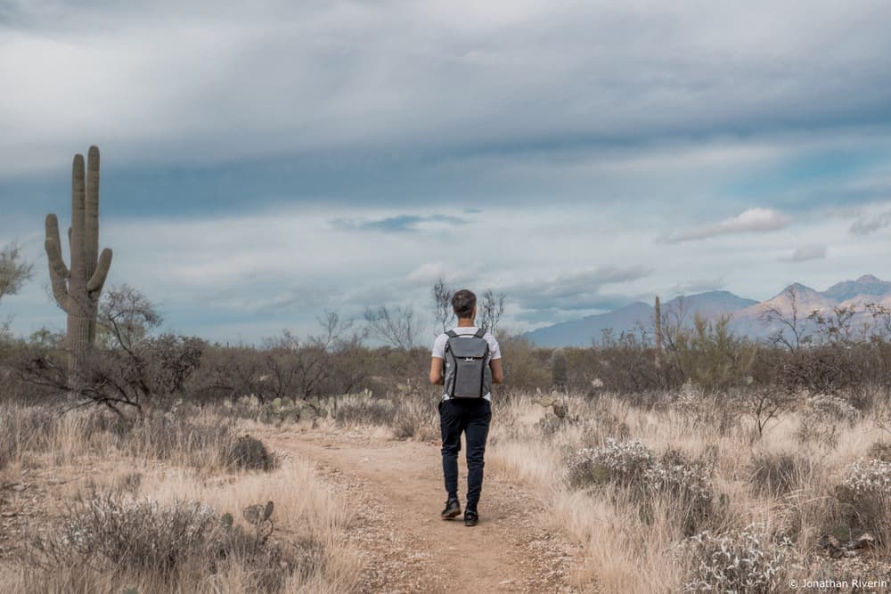 Tucson et Saguaros 2 Crédit Jonathan R