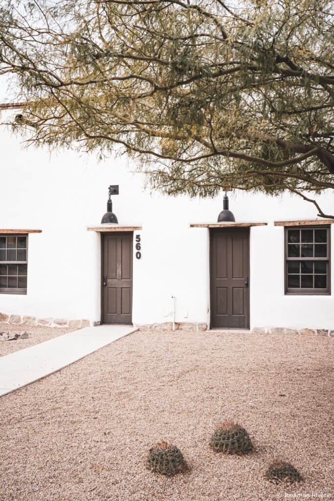 Tucson et Saguaros 20 Crédit Jonathan R