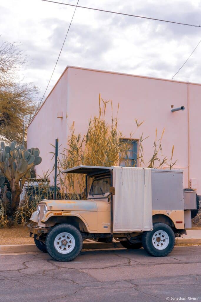 Tucson et Saguaros 21 Crédit Jonathan R