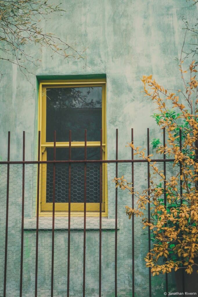 Tucson et Saguaros 24 Crédit Jonathan R