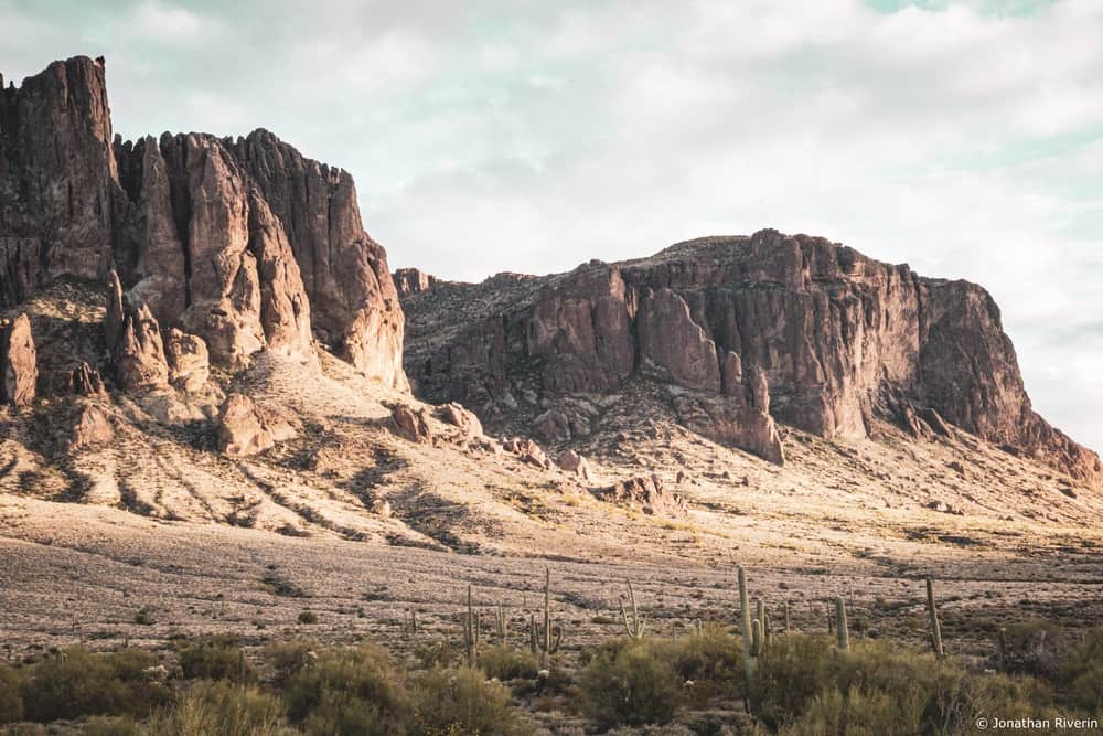 Tucson et Saguaros 29 Crédit Jonathan R