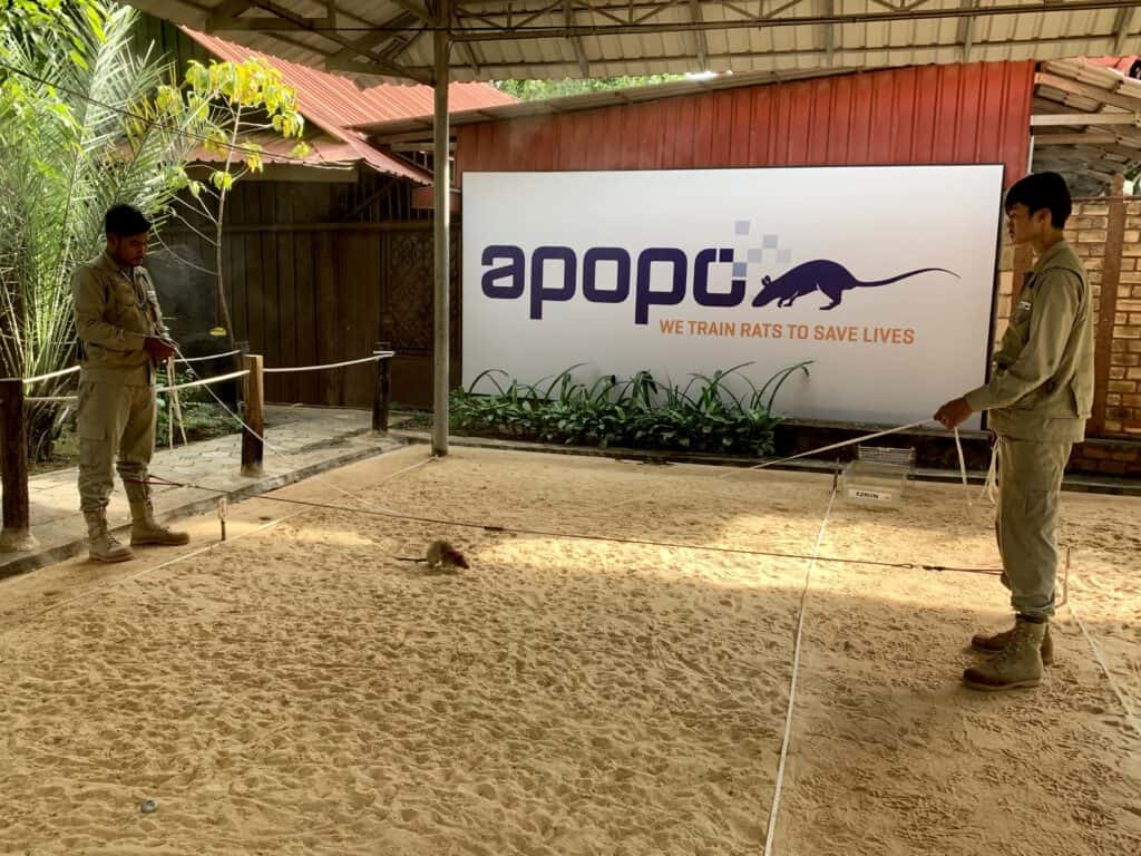 siem reap apopo