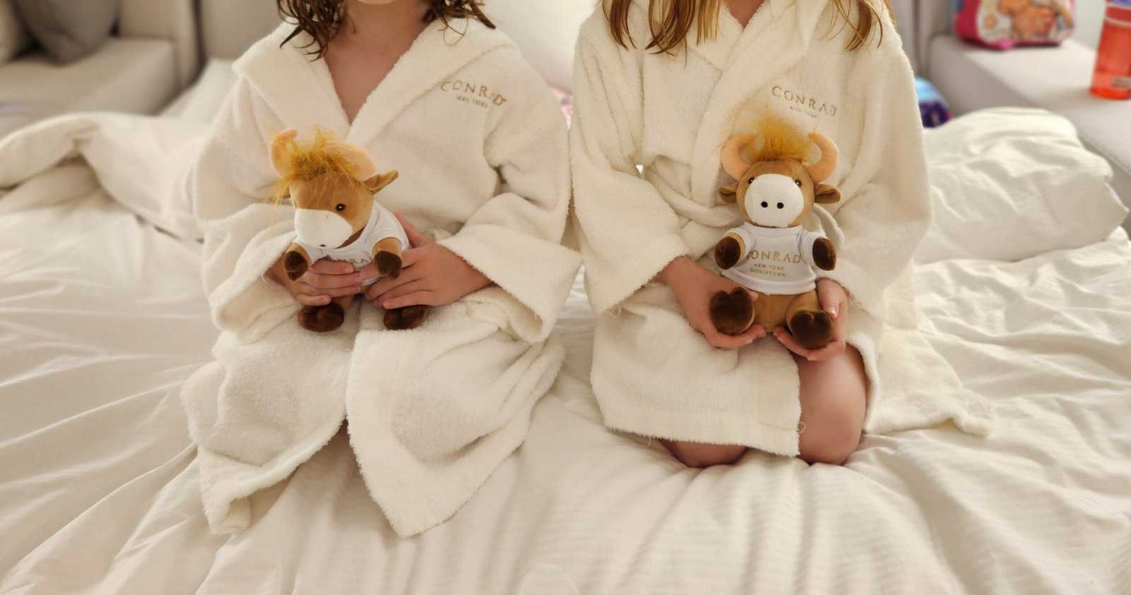 Conrad New York Downtown - Service