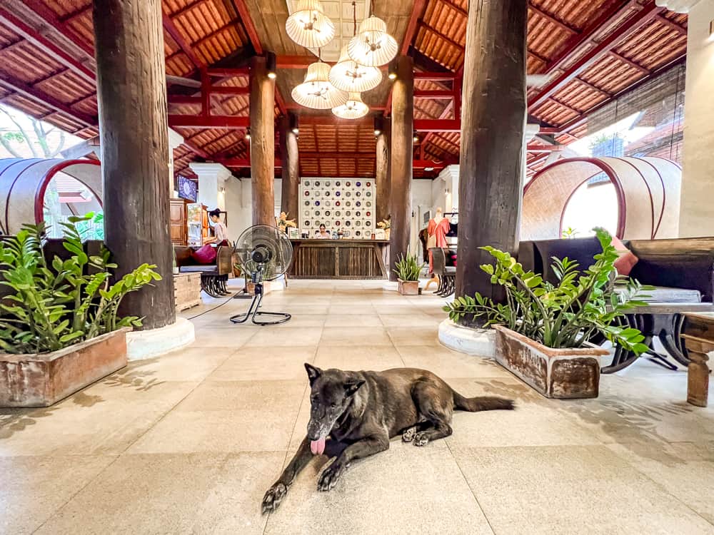 Sriwilai hotel Sukhothai 36