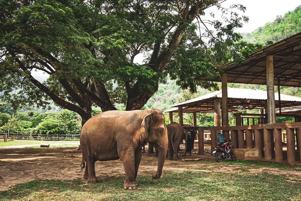 Guide de voyage Thaïlande 53