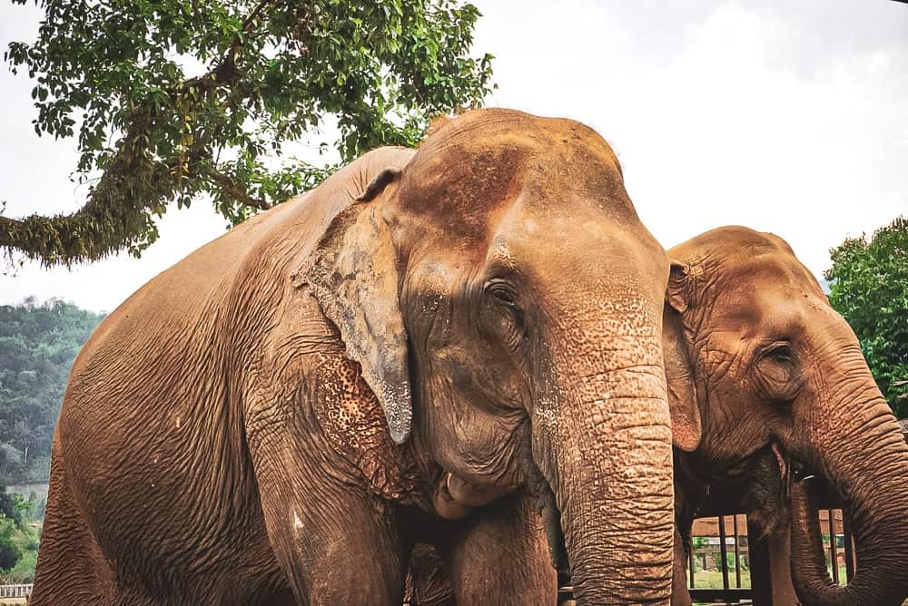 Guide de voyage Thaïlande 54