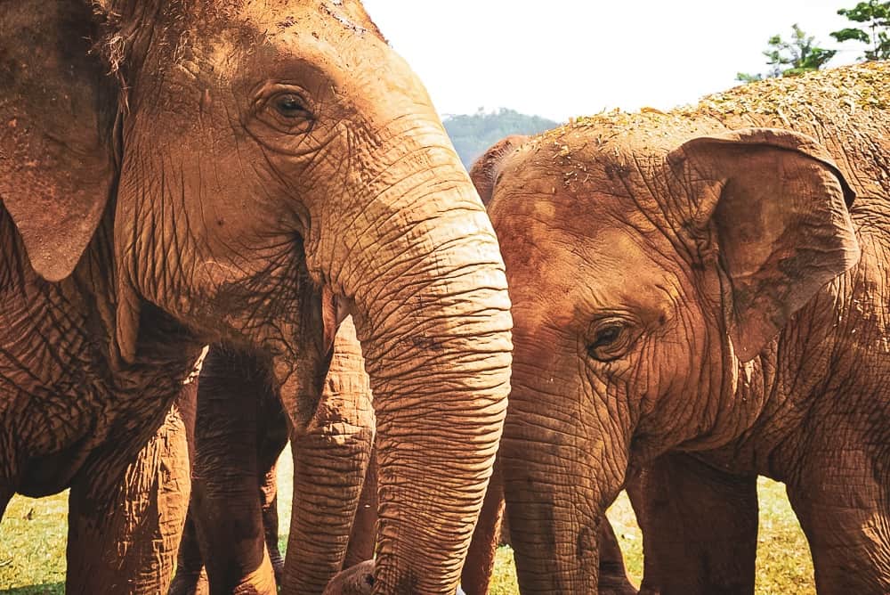 Guide de voyage Thaïlande 59