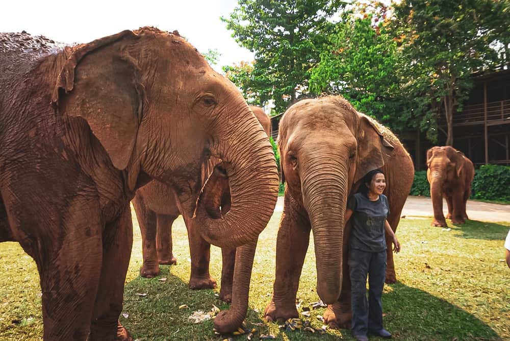 Guide de voyage Thaïlande 60