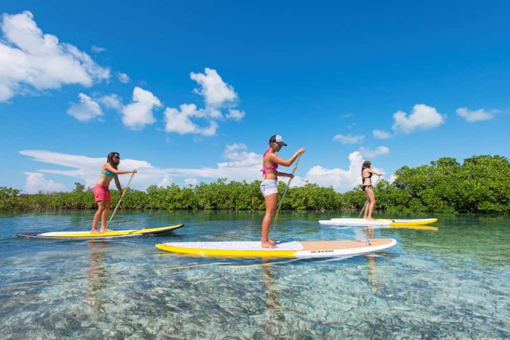 Princess Alexandra national park