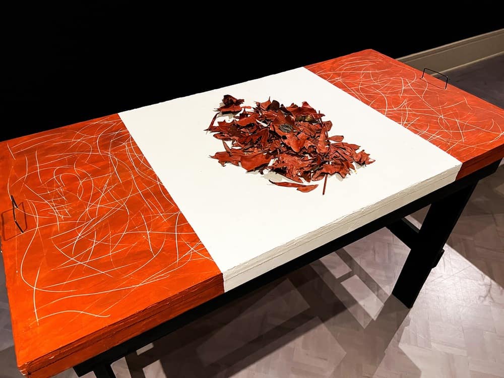 Art Gallery Halifax Jonathan Riverin2