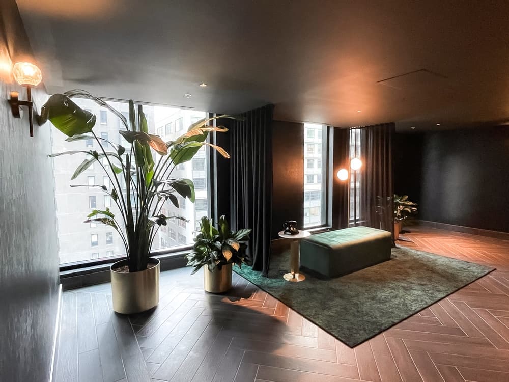 Honeyrose Montréal, a Tribute Portfolio Crédit Mathieu Legault 27