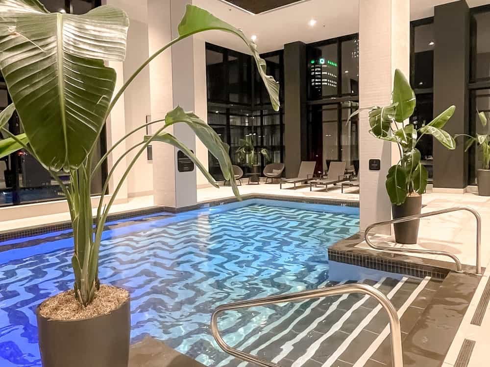 Honeyrose Montréal, a Tribute Portfolio Crédit Mathieu Legault 59