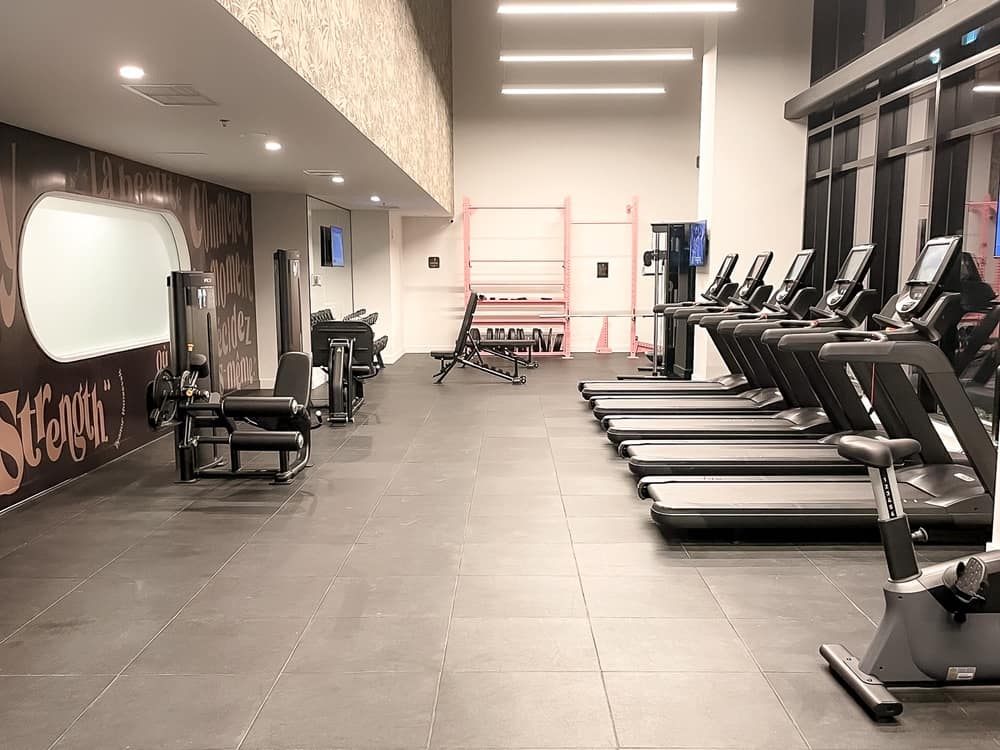 Honeyrose Montréal, a Tribute Portfolio Crédit Mathieu Legault 64