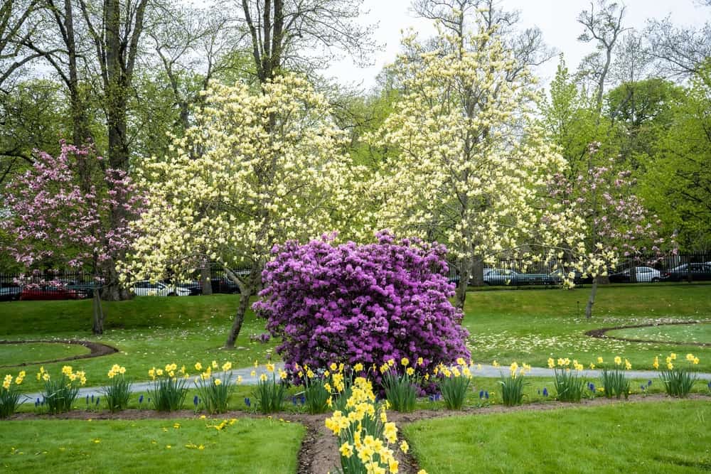 Pleasant Point et Public Garden Halifax Jonathan Riverin 1