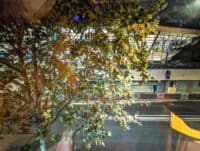 Courtyard Paris Arcueil 12