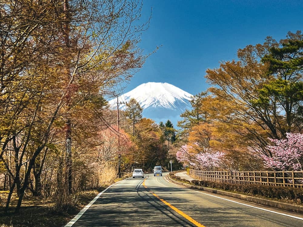 Fuji Crédit Audrey Voisine 2023-2