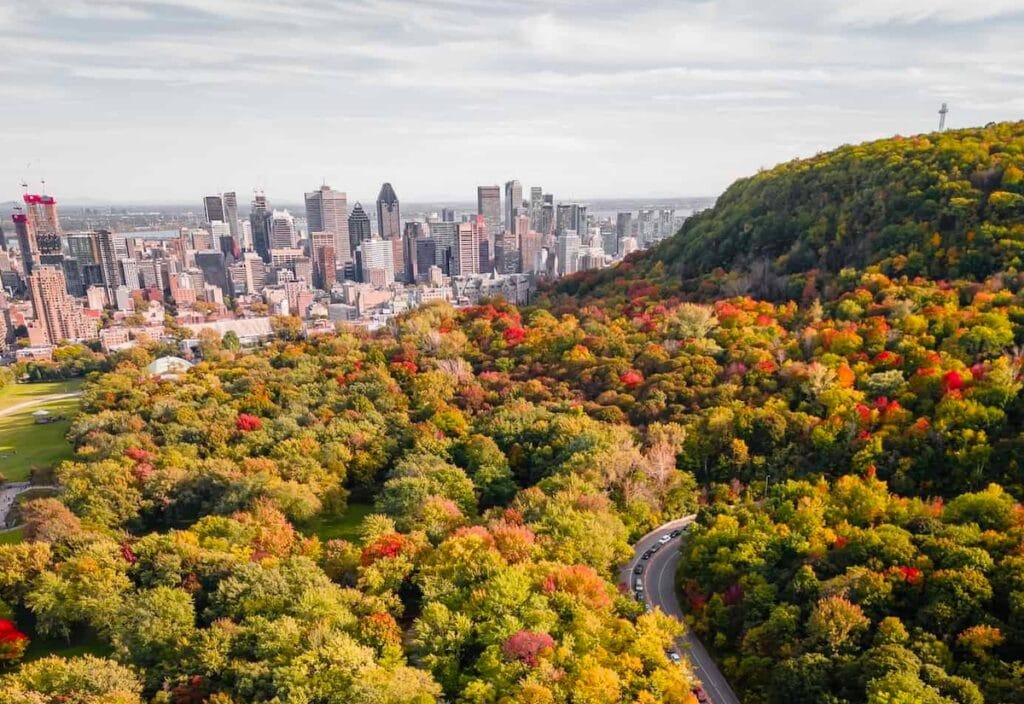 Une vue du mont royal