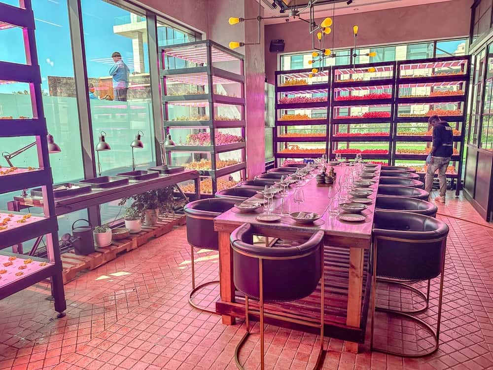 Dubai Marriott Resort Palm 075