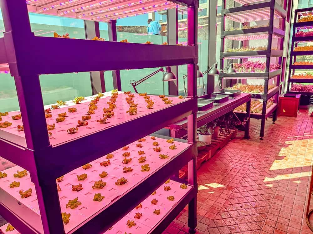 Dubai Marriott Resort Palm 076