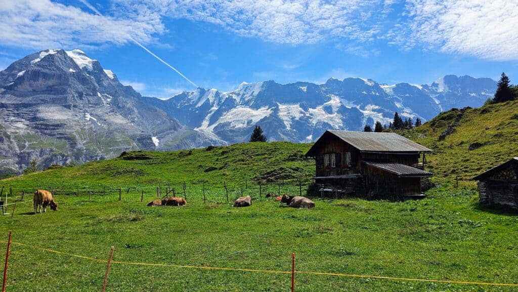 temoignage-philippem1