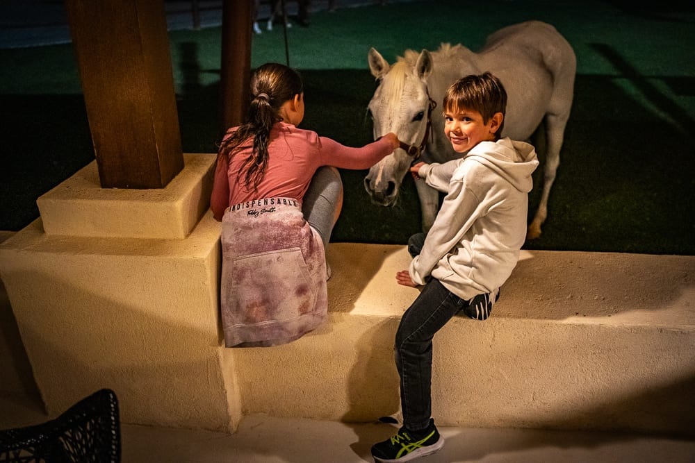 Al Wathba Luxury Collection 049