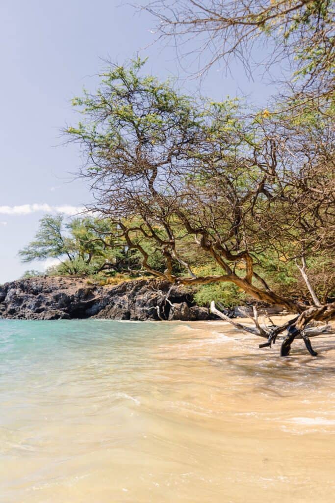 Big Island – Farniente 5