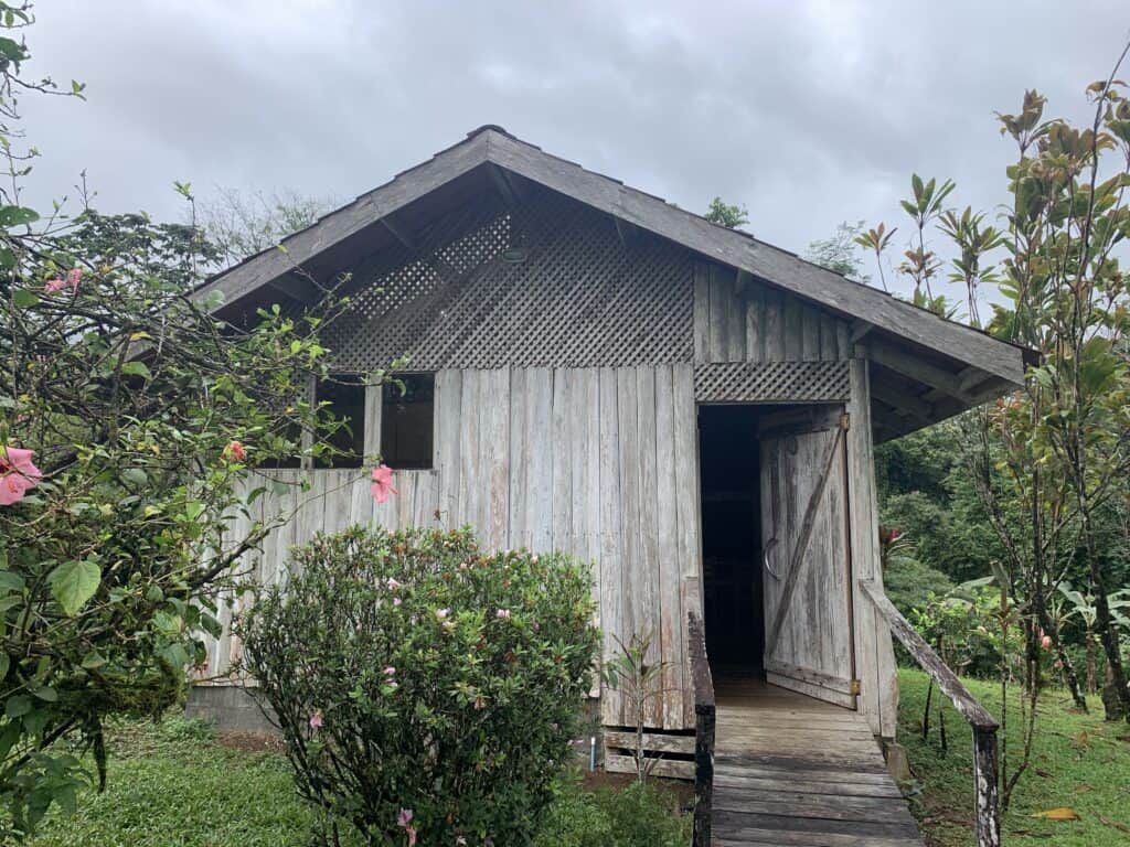 temoignage isabelle2