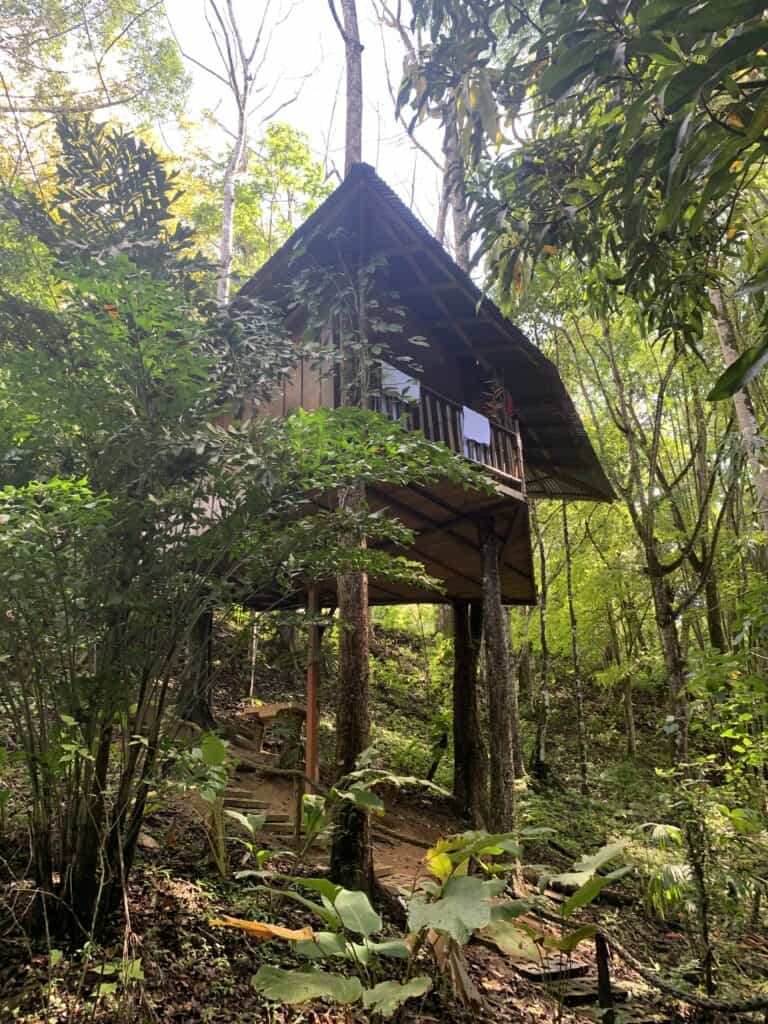 temoignage isabelle6