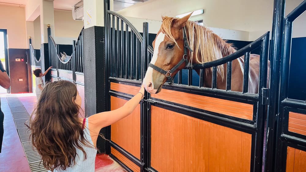 Al Wathba Luxury Collection 24 activites