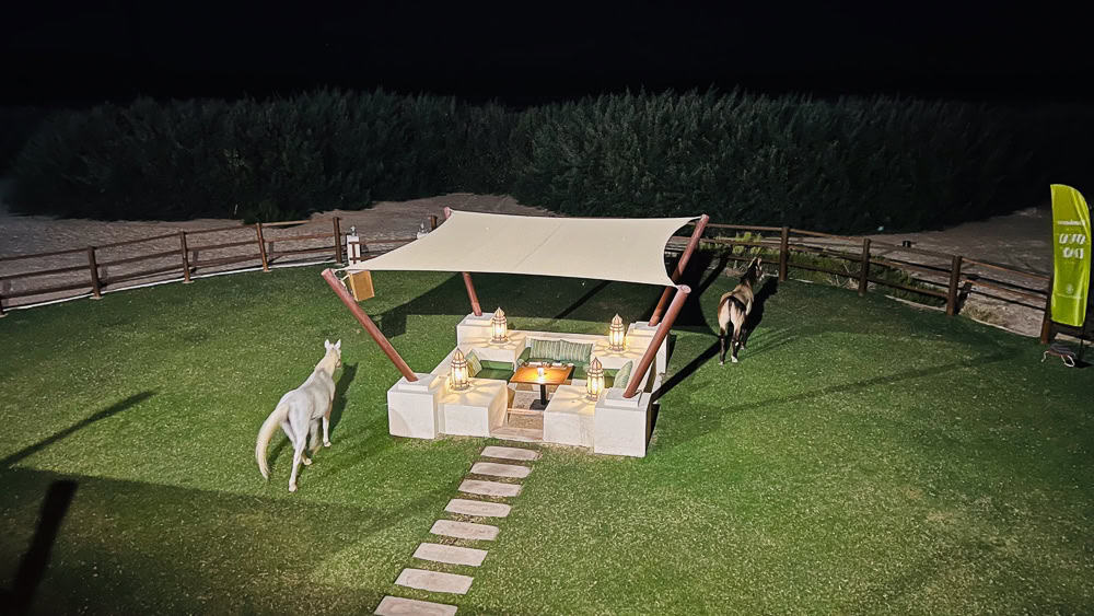 Al Wathba Luxury Collection 33