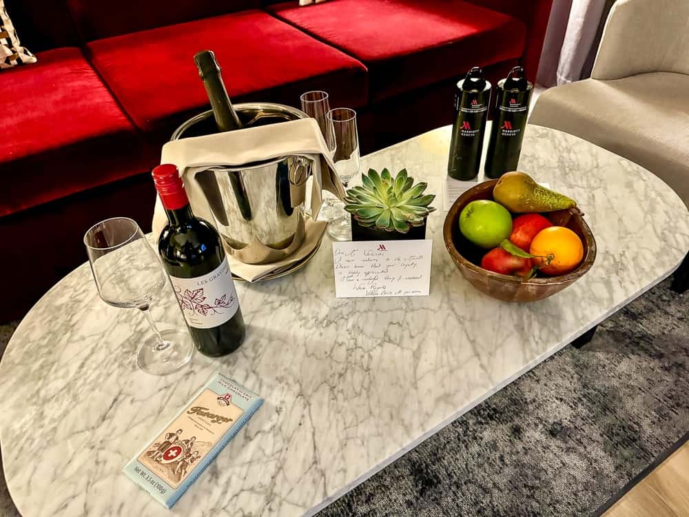 Geneva Marriott Hotel 04