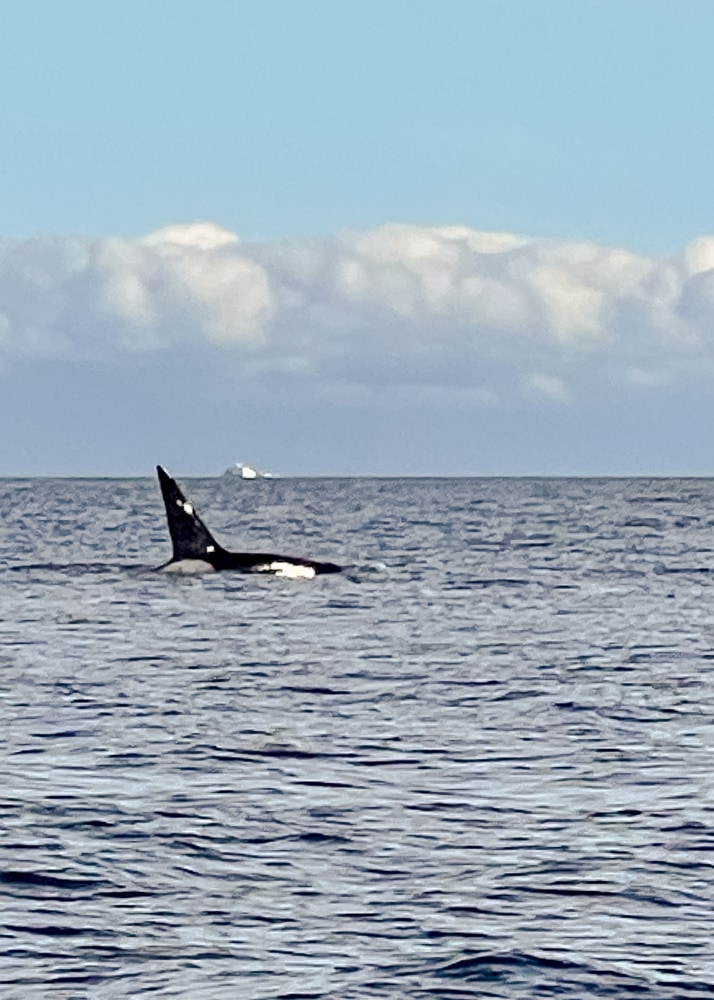 Nanaimo Quoi voir faire 10